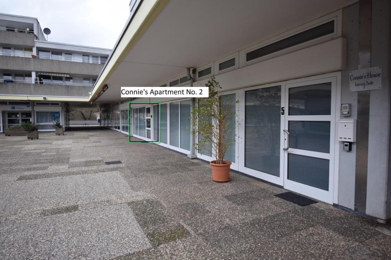 Connie'S Apartments ไฮเดลเบิร์ก ภายนอก รูปภาพ