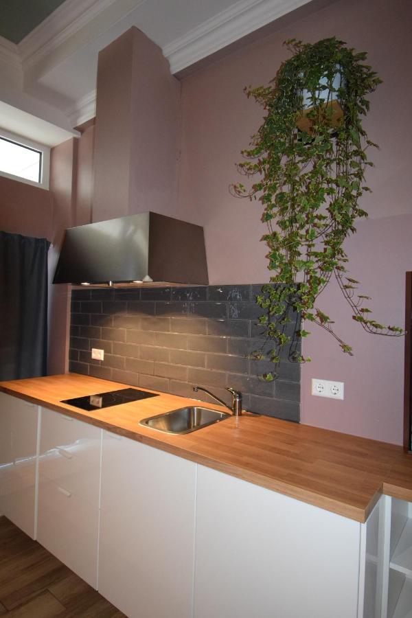 Connie'S Apartments ไฮเดลเบิร์ก ภายนอก รูปภาพ